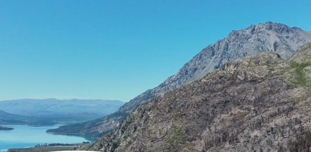 636944648_1384482580388855_6006675232364233028_n