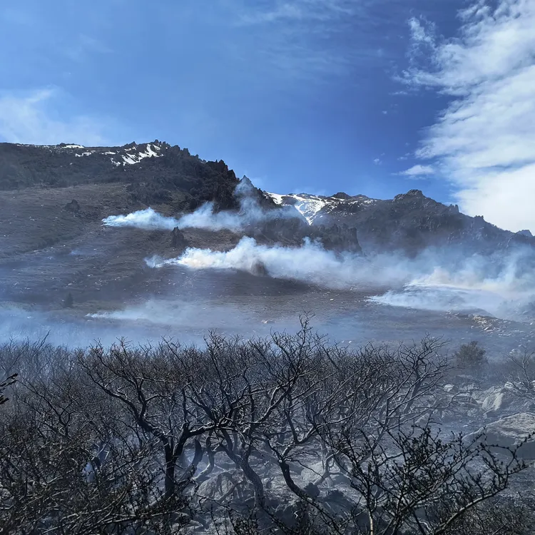 incendio cuesta del ternero 1