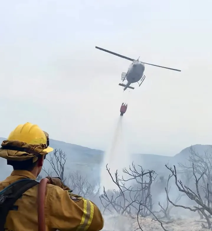 287d7e4b-afe8-4b3b-be78-1950440542b8