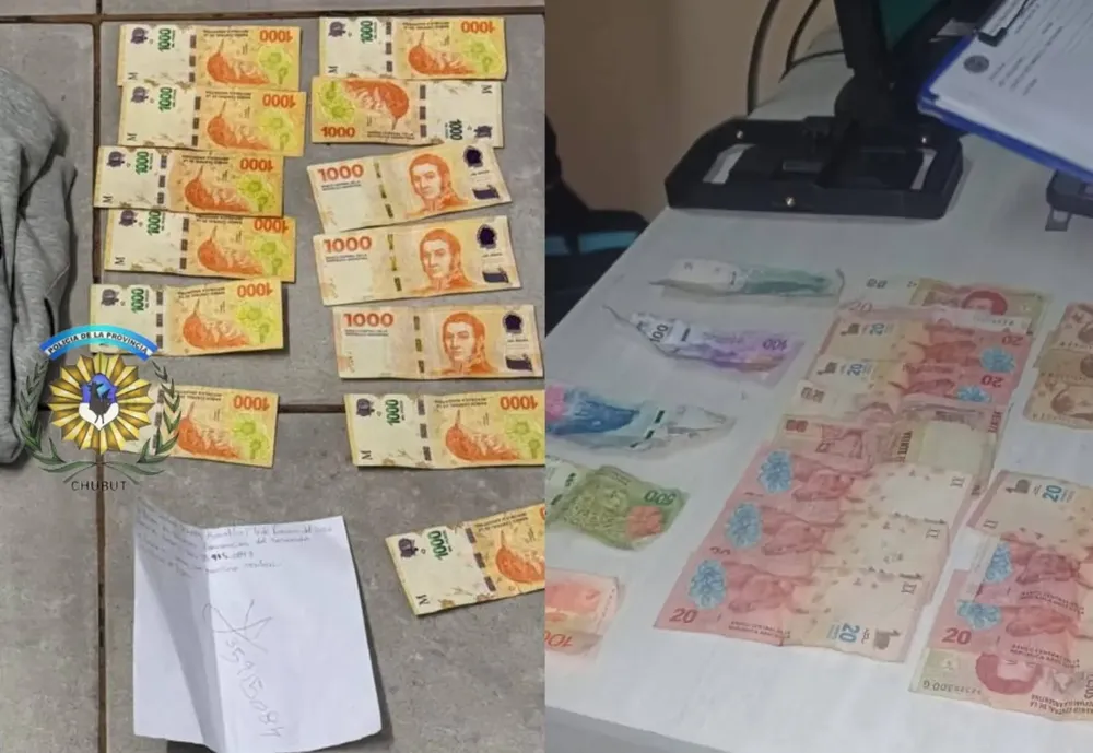 cb5e55a4-ae13-481c-ab04-8cf1f04dcb98