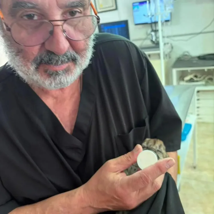 FB_IMG_1775223457128