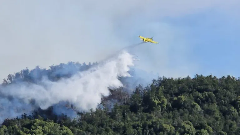 incendio los manzanos 64