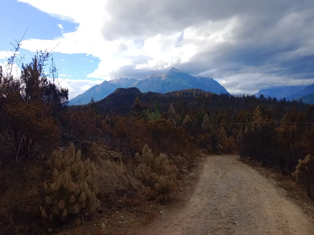 incendio epuyen 50