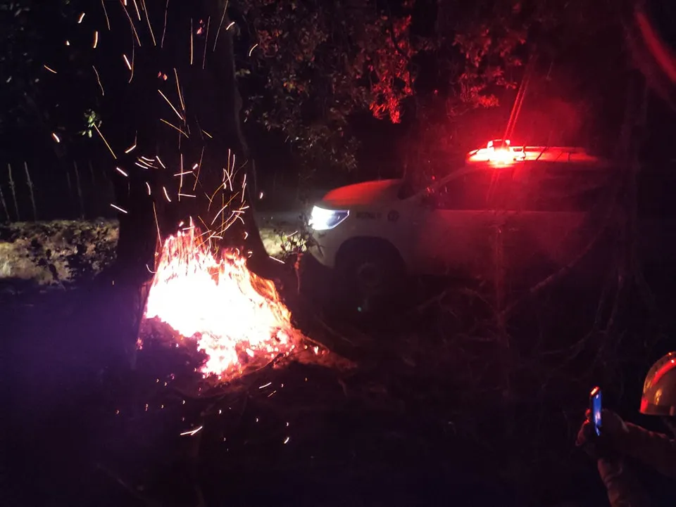 quema rincon de lobos 2