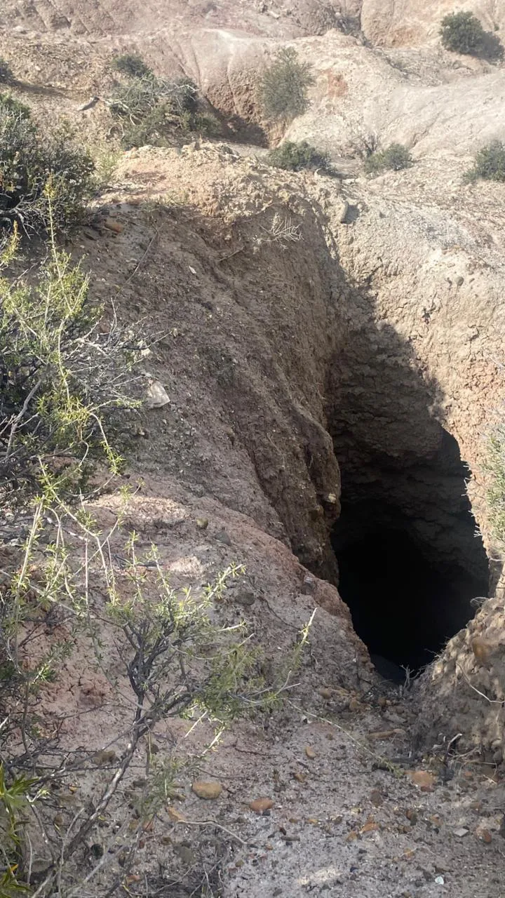 busqueda comodoro 11