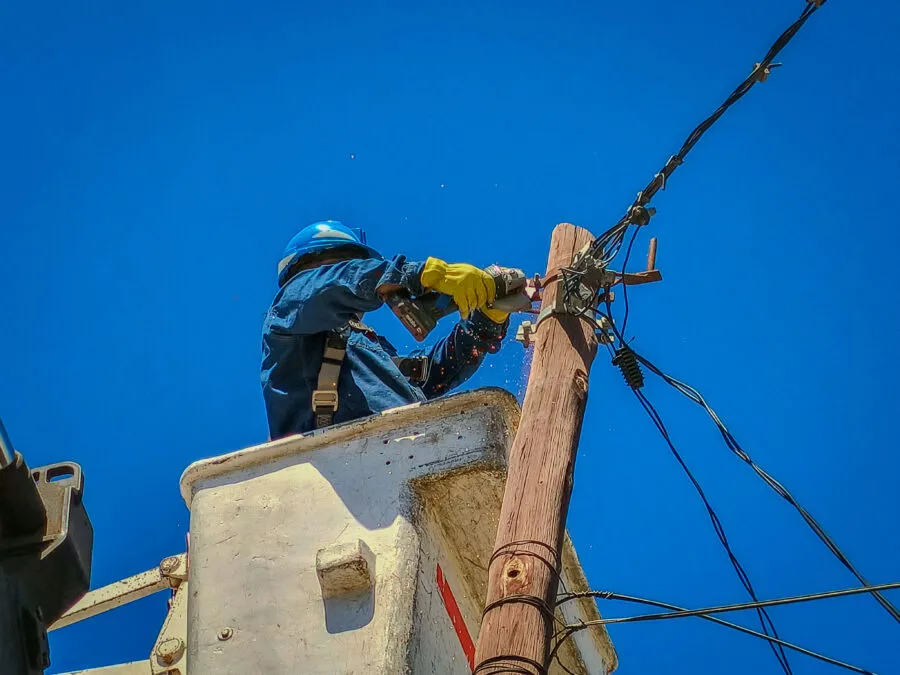 mant elec 1
