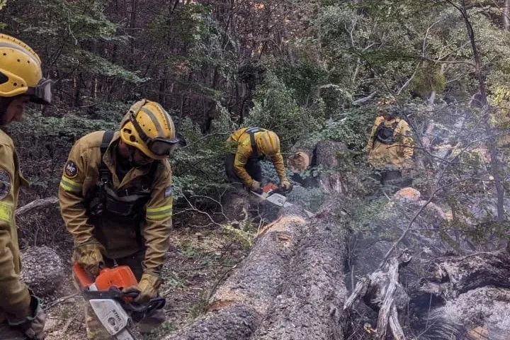 incendio lago menendez 5