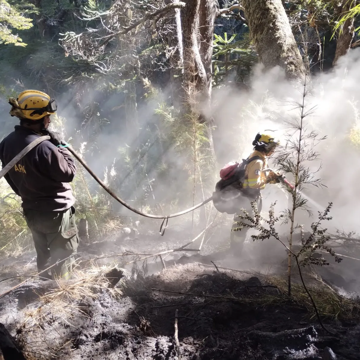 incendio lanin 11