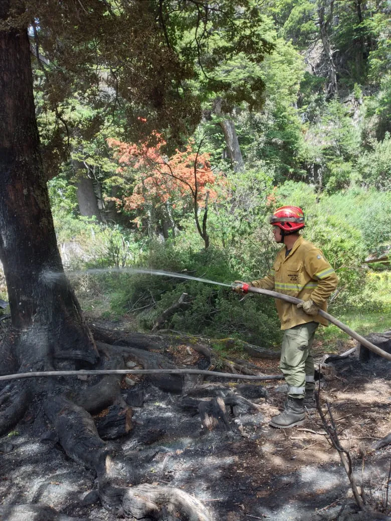 WhatsApp Image 2025-12-08 at 19.52.31