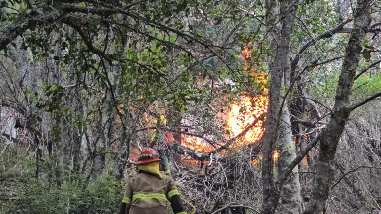 incendio los manzanos 77
