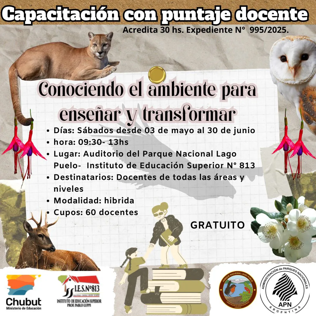 taller pnlp 1