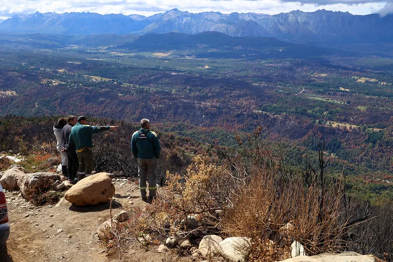 1743425194_86b9839d460b638319c4