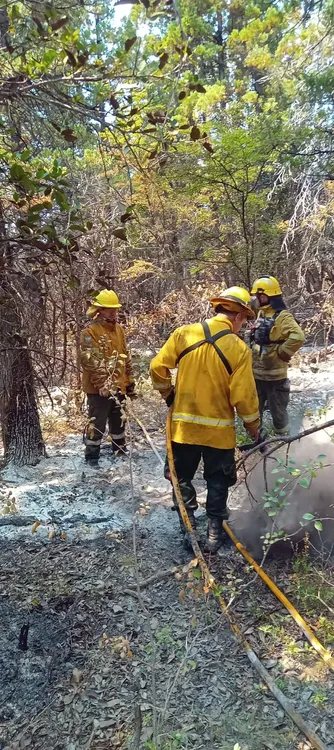 WhatsApp Image 2026-02-02 at 10.39.13