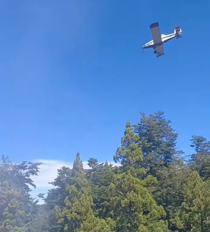 avion hidrante 3