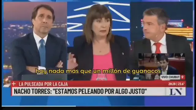 bullrich guanacos