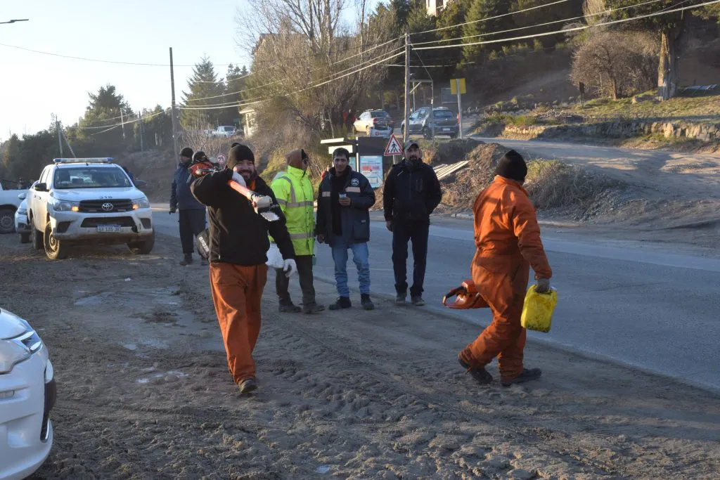 walter cortes poda 2