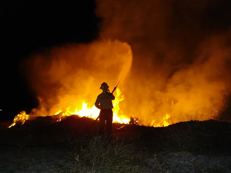 incendio forestal 3