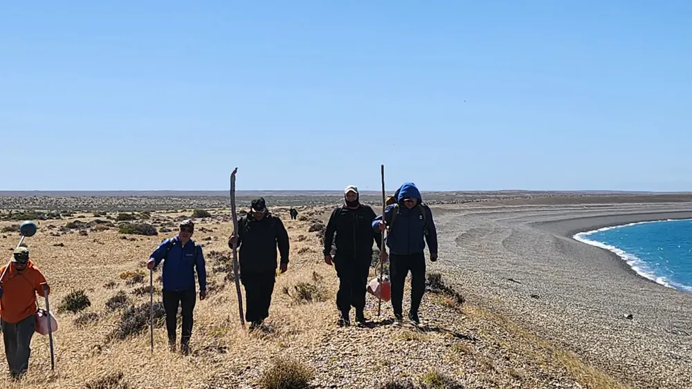 busqueda comodoro 16