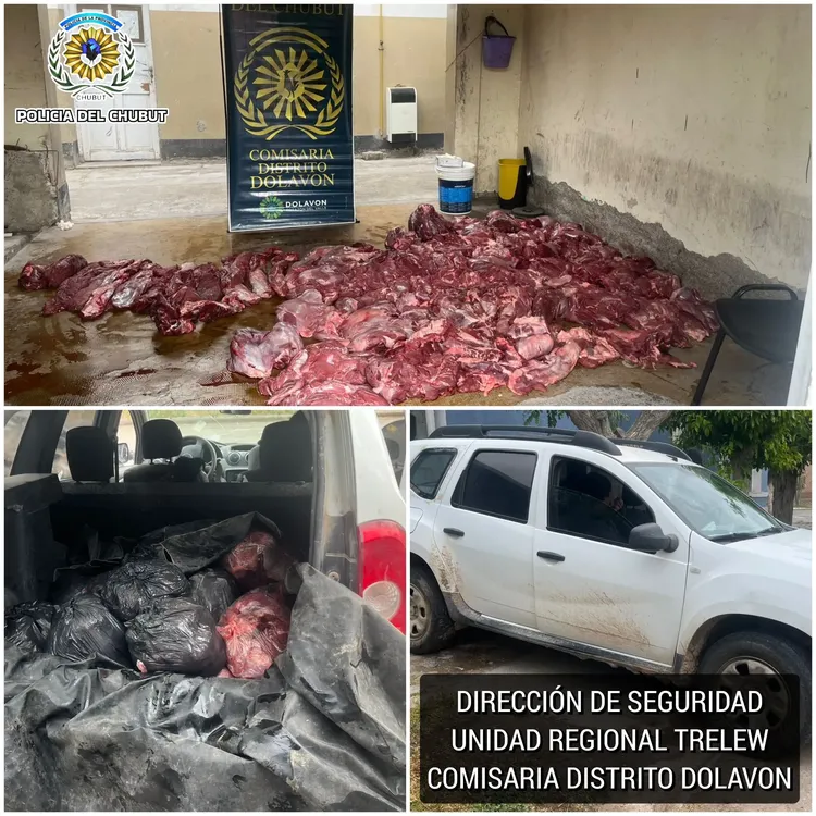 576351449_1480962656914006_2612753758549679249_n