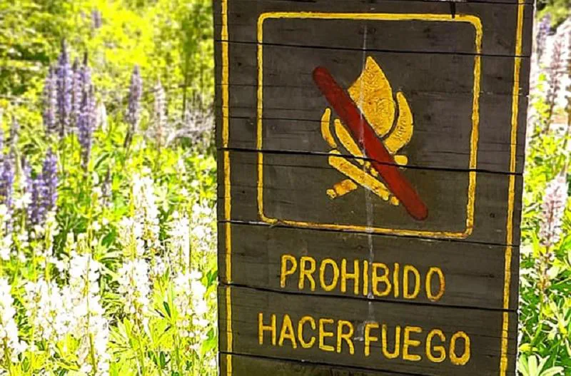 prohibido hacer fuego 2