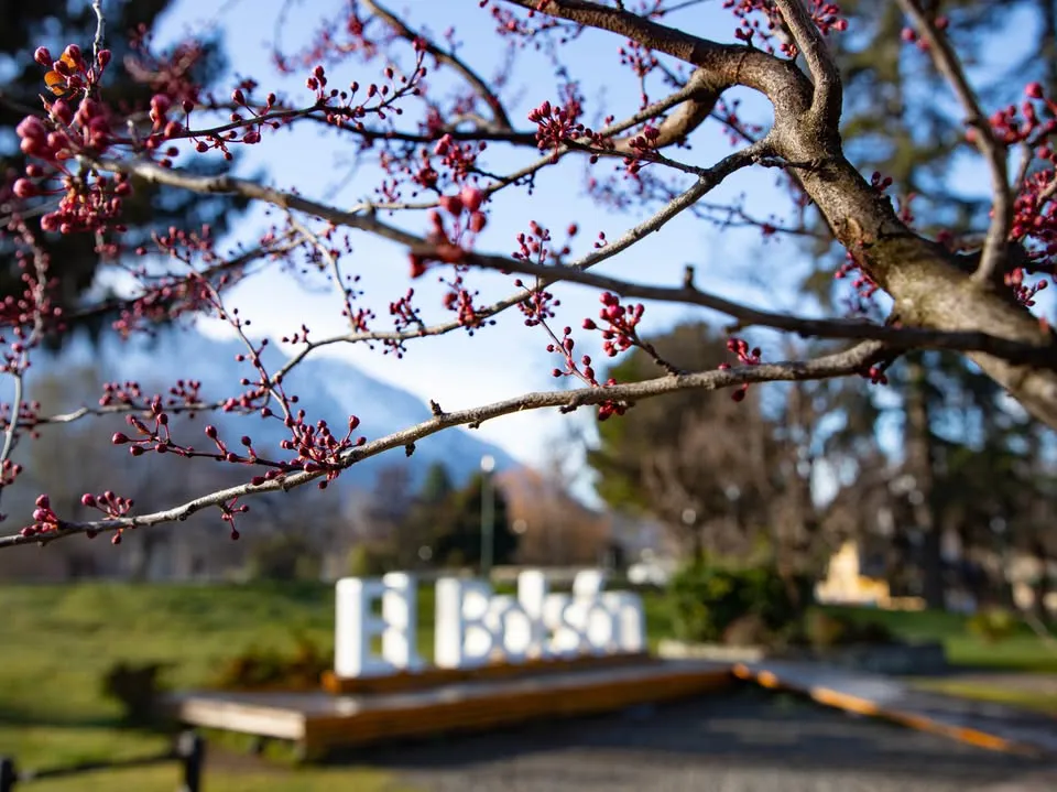 primavera el bolson 1