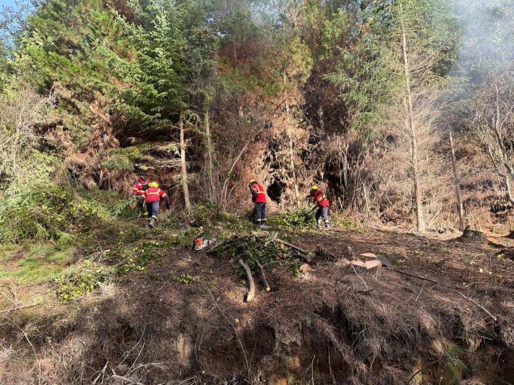 camino puerto patriada 2