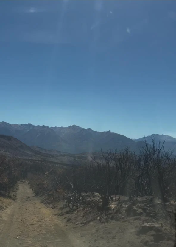 WhatsApp Image 2026-03-06 at 09.19.50 (2)