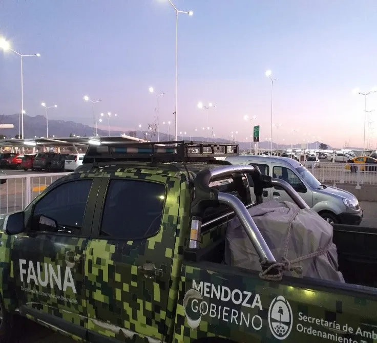 WhatsApp Image 2024-06-03 at 11.59.57 (1)