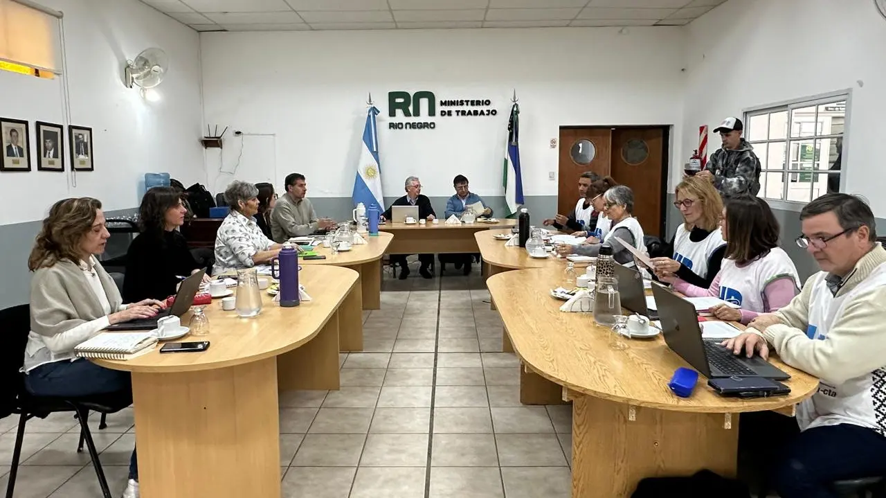 paritaria docente junio