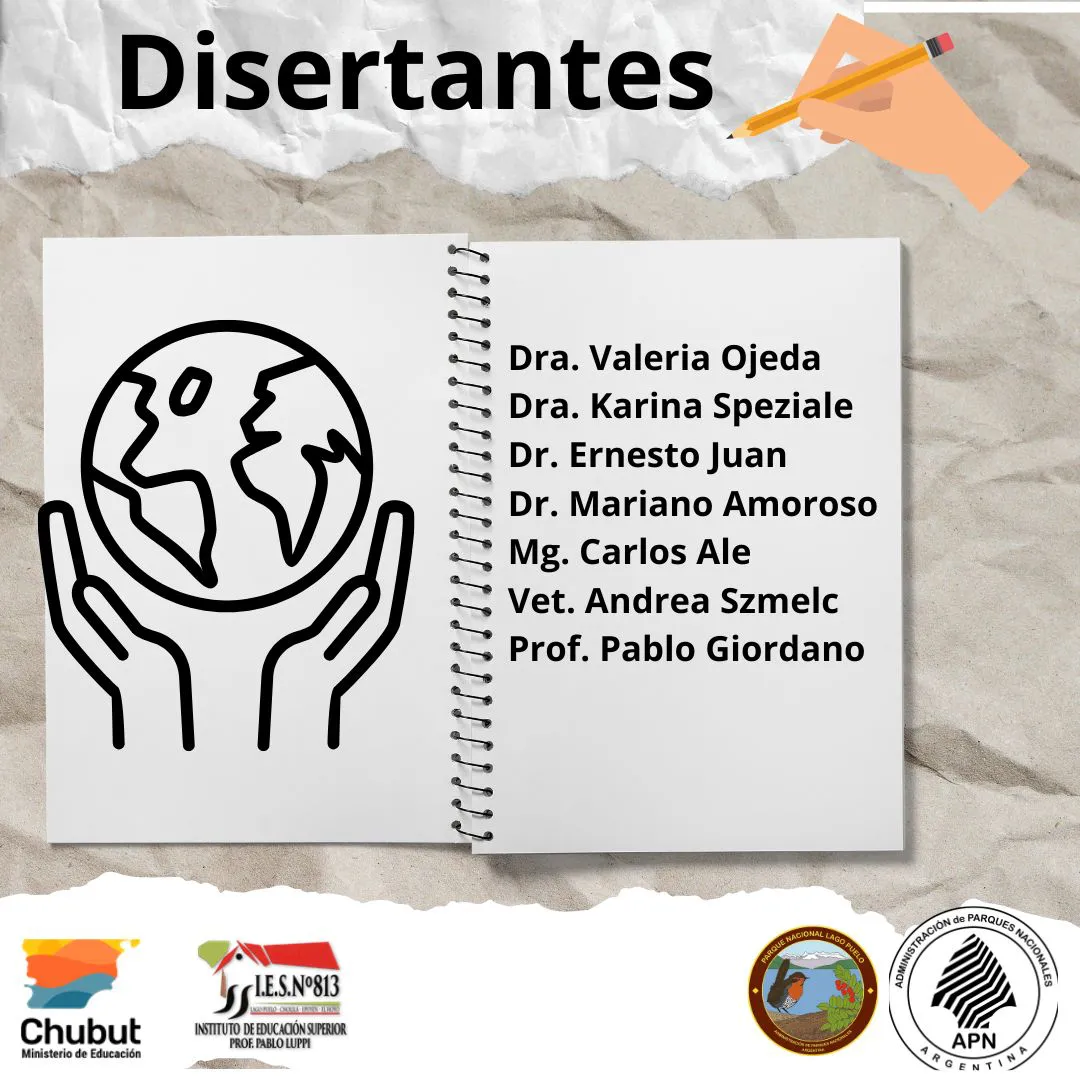 taller pnlp 2