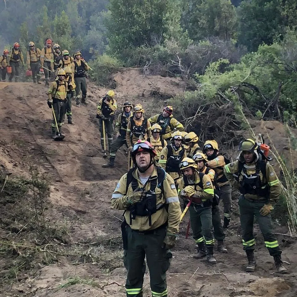 incendio los alerces 18