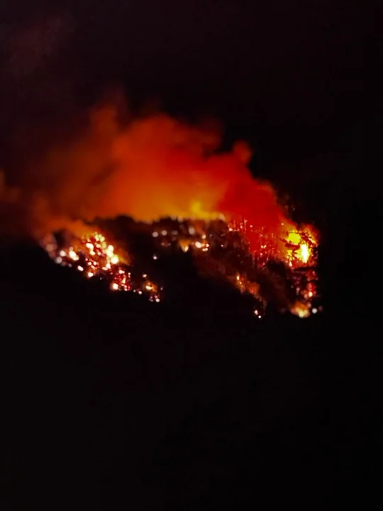 incendio los alerces 2