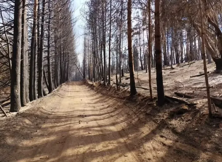 incendio el bolson 6