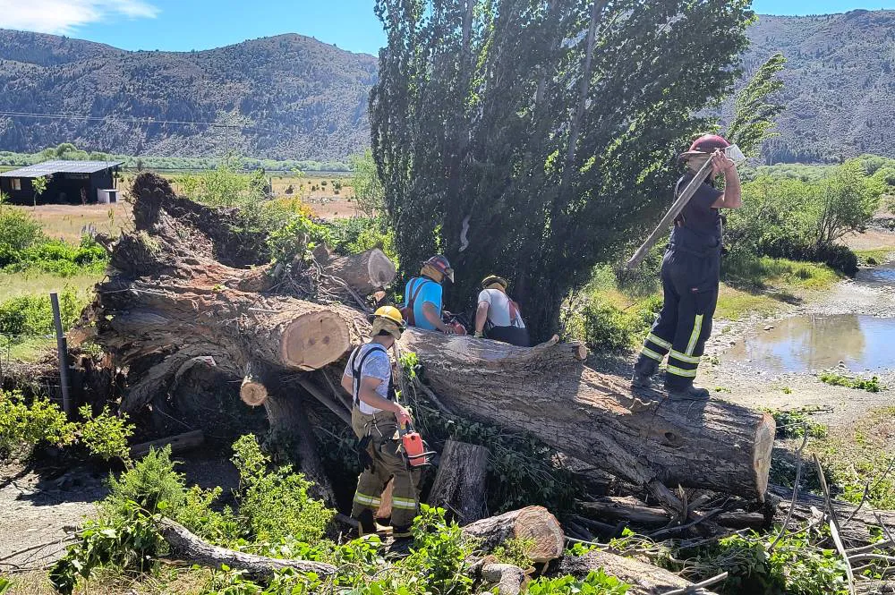 bomberos cholila nov 1