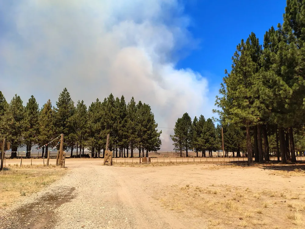 incendio basurero em 2