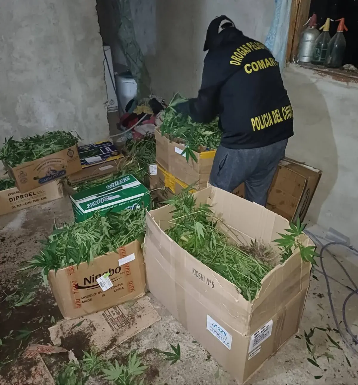 626107596_26450808347855220_7497453564508395164_n