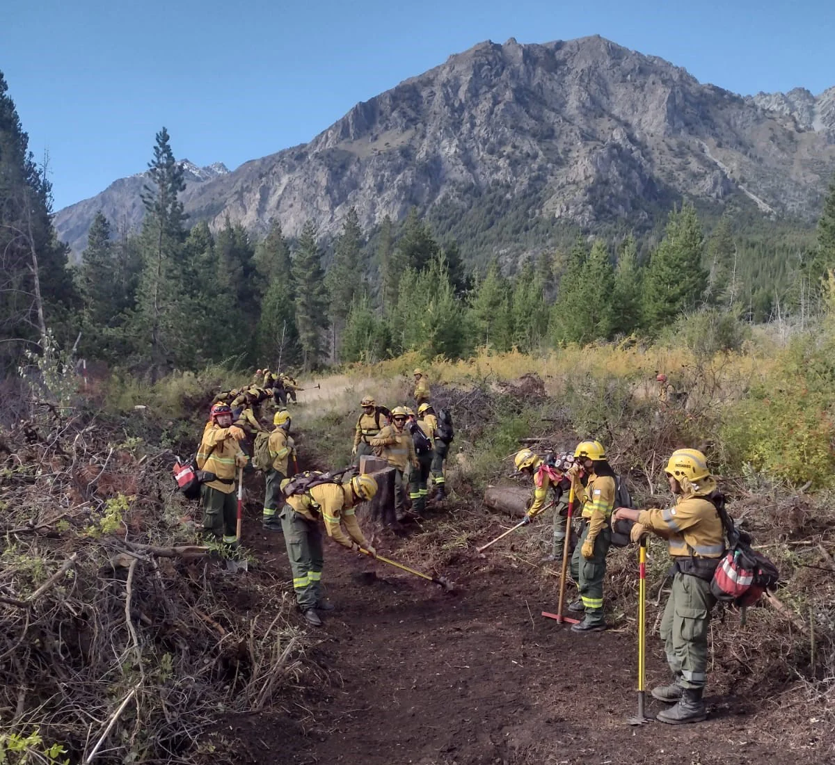 fa8c3473-6c7d-4257-8490-e453c04057fc