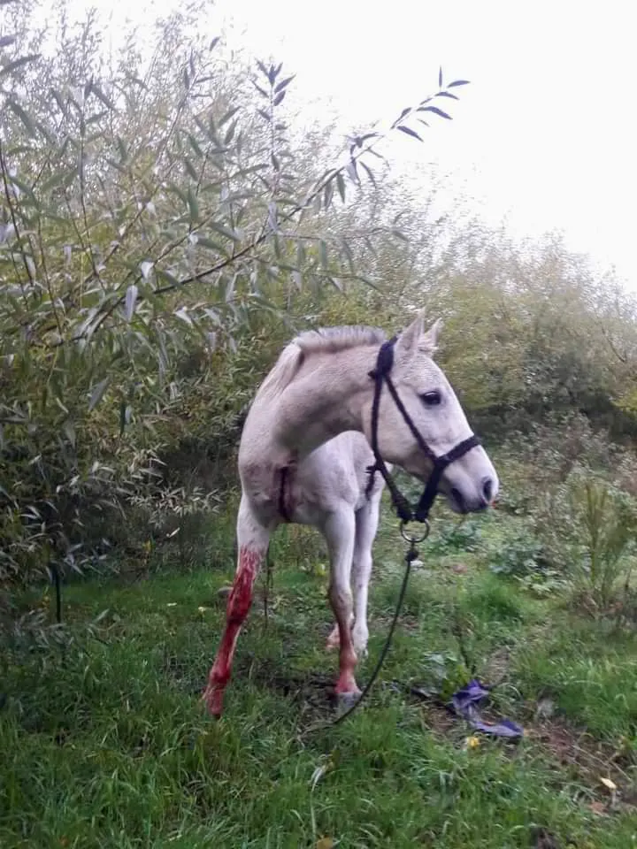 WhatsApp Image 2024-04-26 at 13.07.49