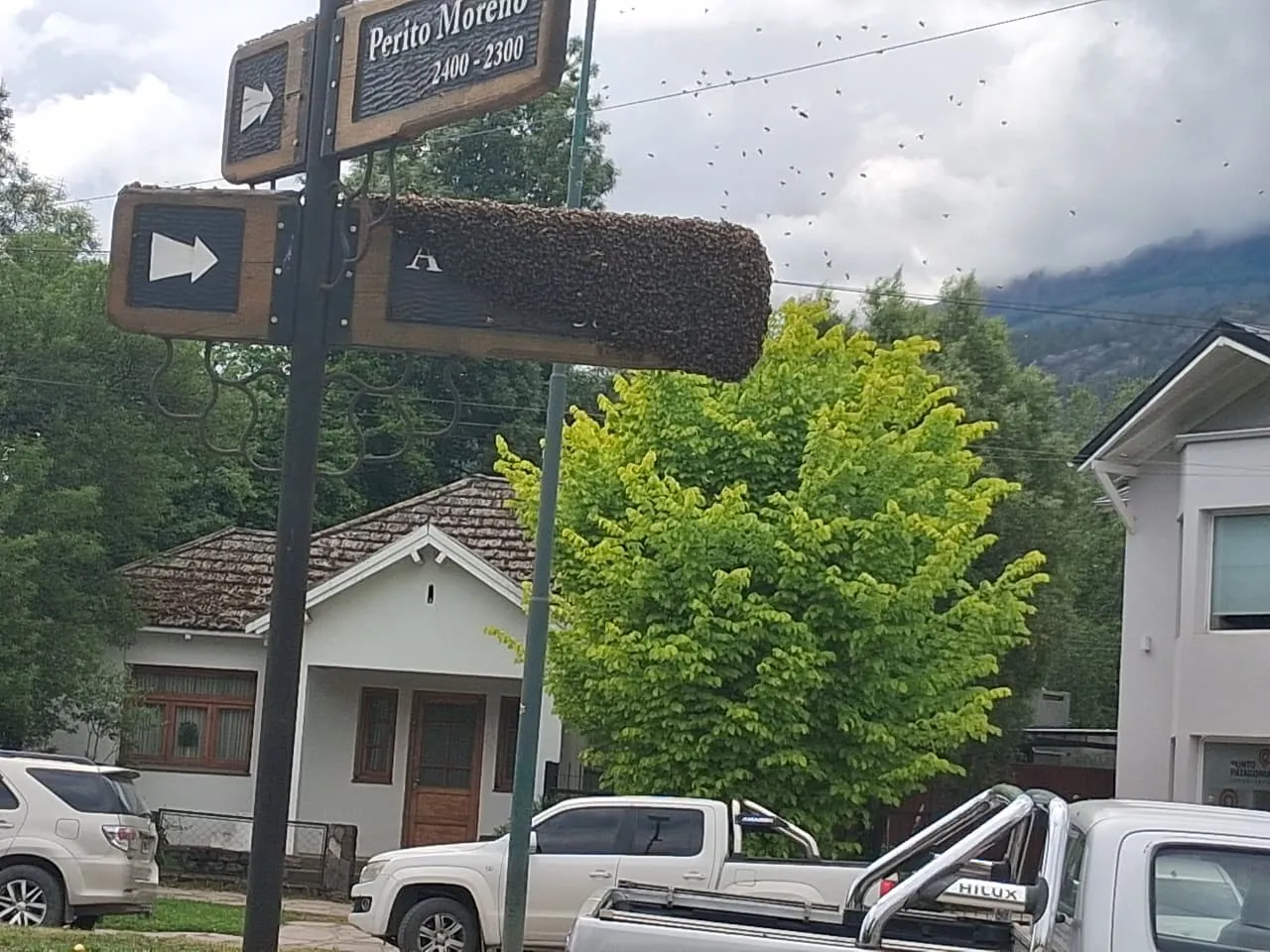 WhatsApp Image 2025-11-11 at 13.23.04