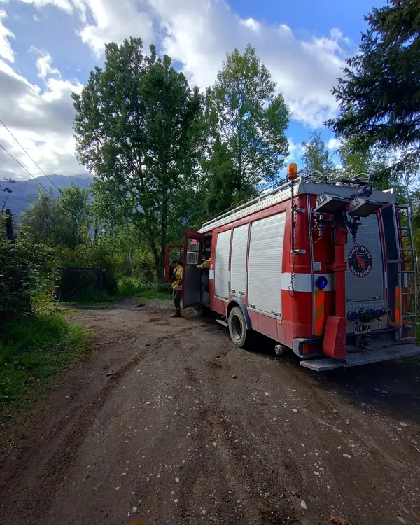 brigada forestal b