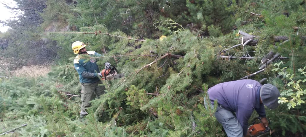 WhatsApp Image 2026-03-02 at 11.30.02