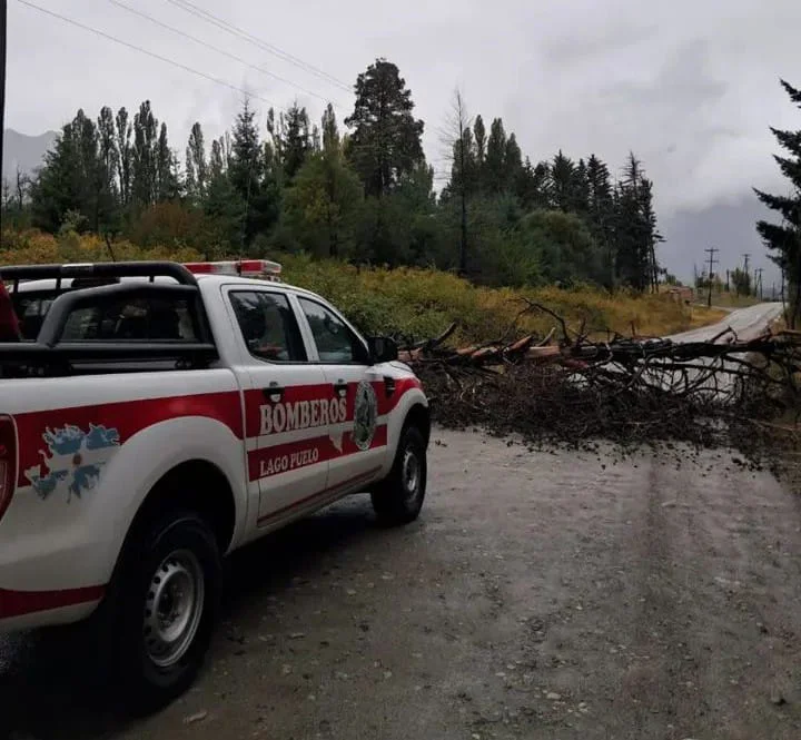 bd940572-85ae-4d32-b6ac-9dae0a201ef5