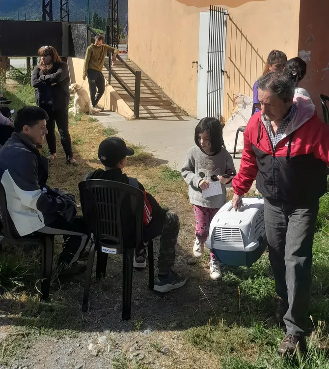 castraciones eh dic 2