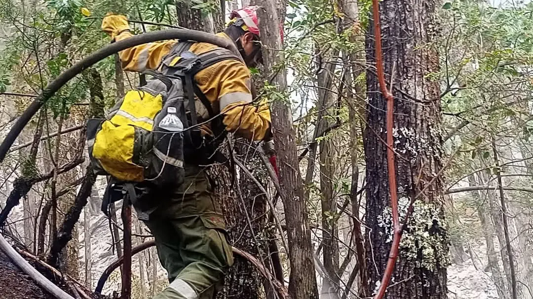 incendio en el bolson 1