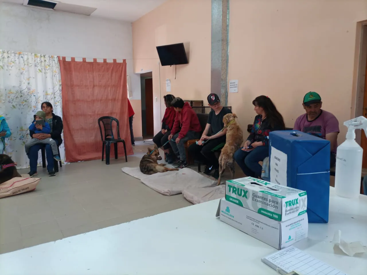 castraciones el hoyo