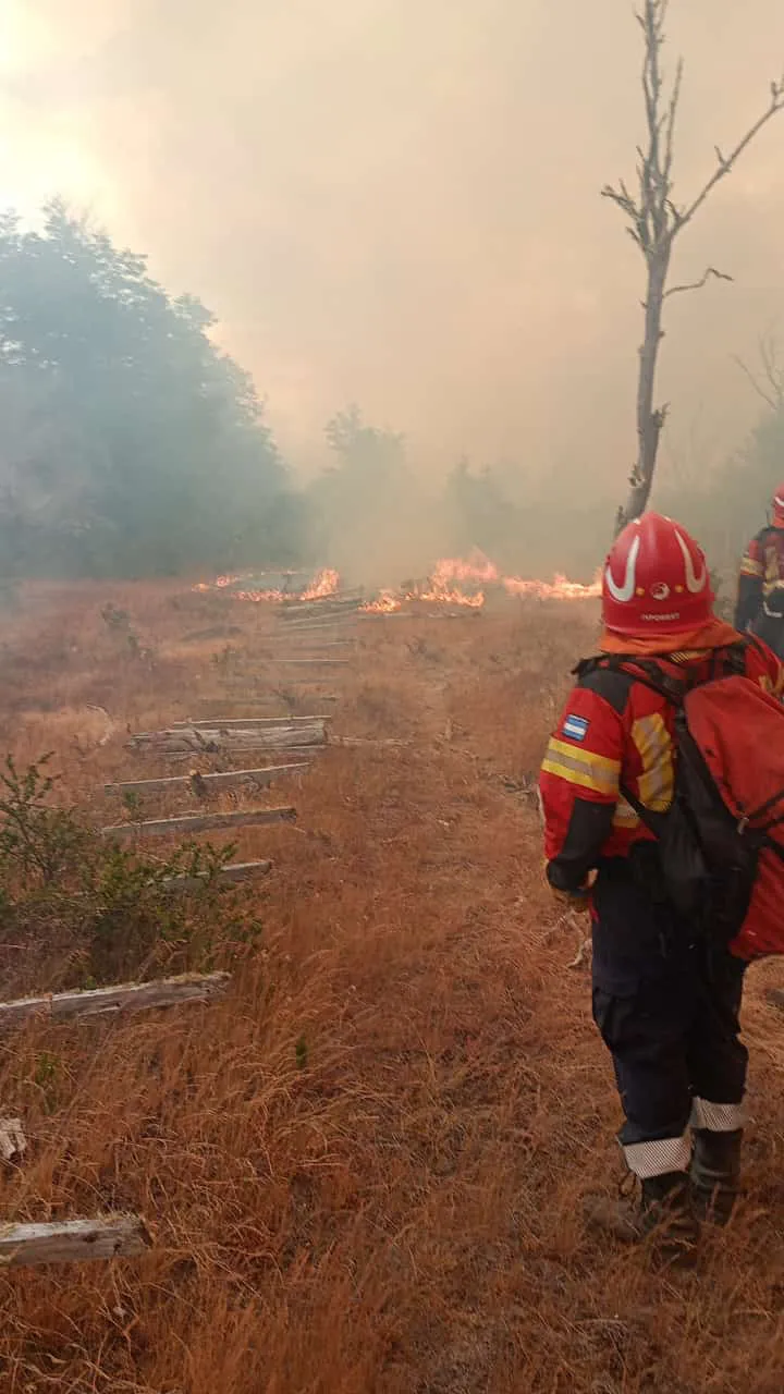 incendio atilio viglion 3