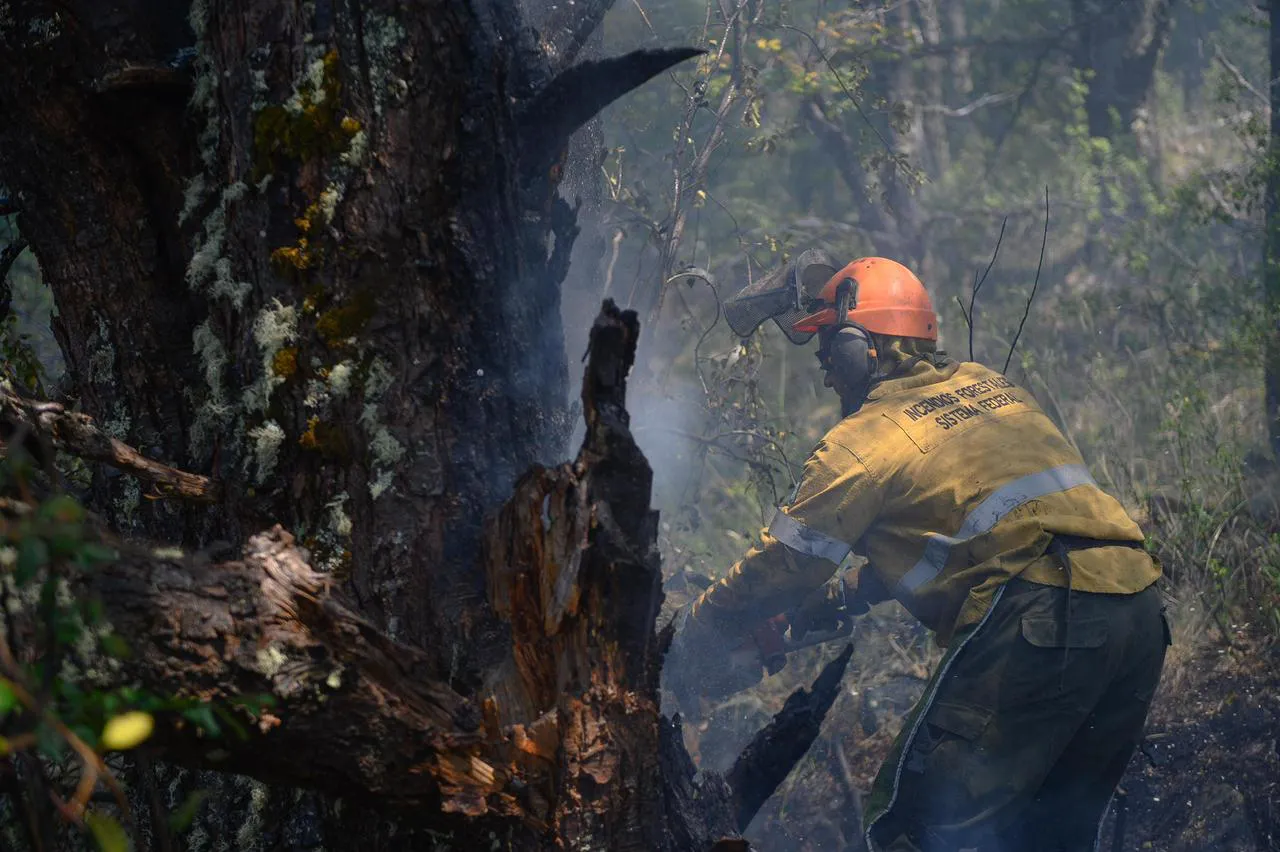 2499c235-b634-4a60-b547-9c033017aabd