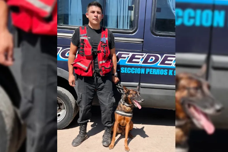 policia-federal-firu-perro-division-caninajpg