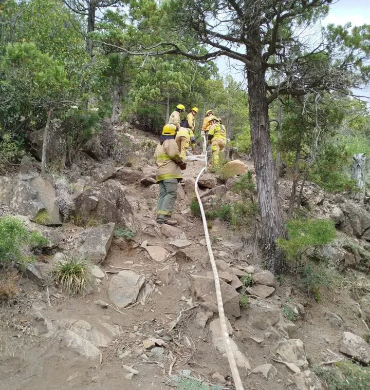 WhatsApp Image 2026-03-03 at 09.54.42