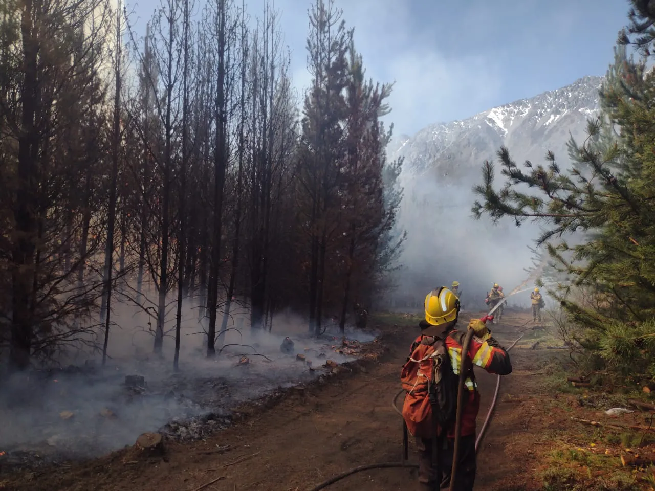 WhatsApp Image 2024-10-23 at 13.13.25